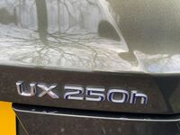 LEXUS UX 250H