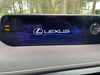 LEXUS UX 250H