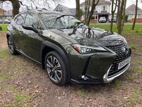 LEXUS UX 250H