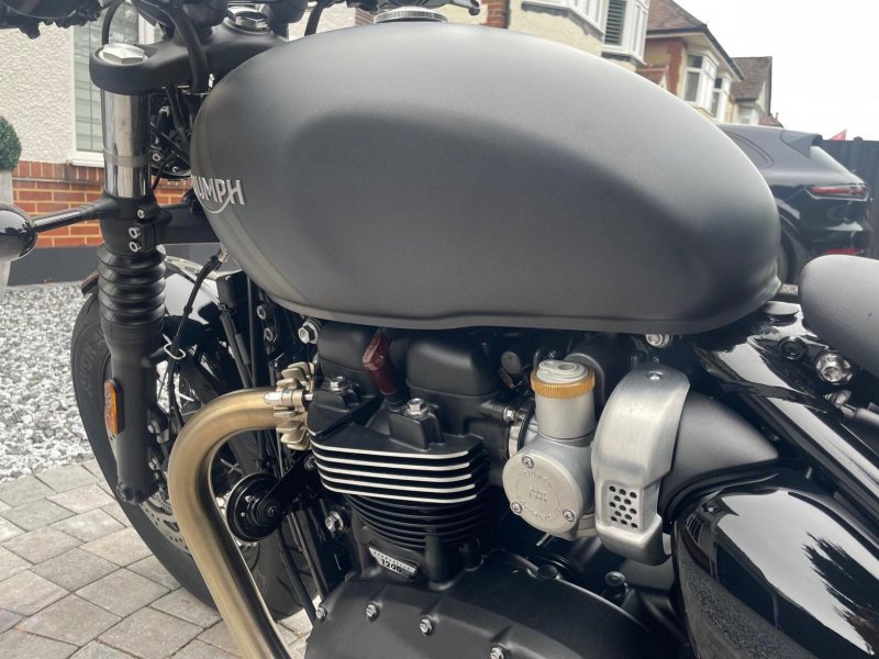 TRIUMPH Bobber