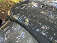 MORGAN PLUS 4