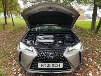 LEXUS UX