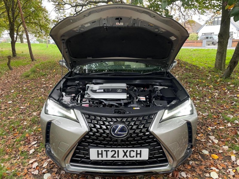 LEXUS UX