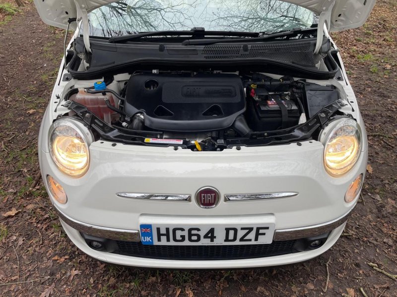 FIAT 500C