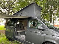 VOLKSWAGEN CALIFORNIA